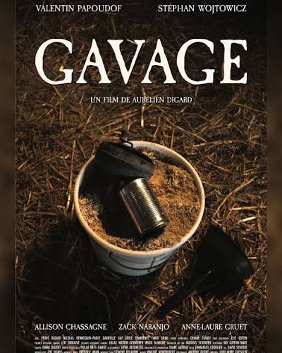 Gavage